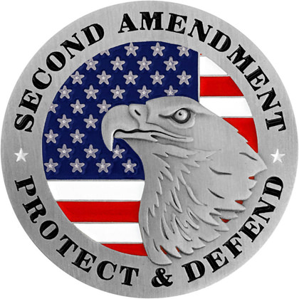 Second Amendment - Protect And Defend Pin